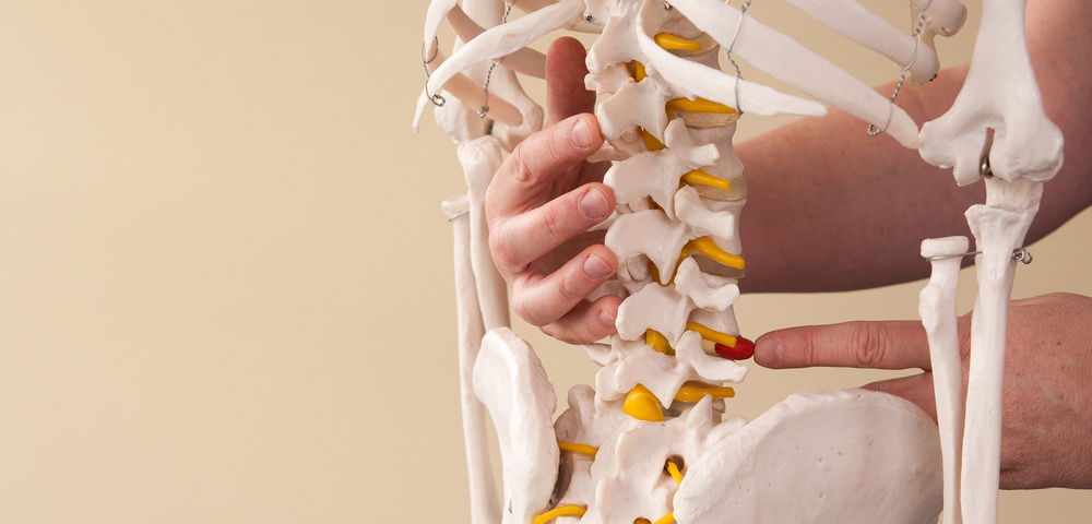 Physiotherapie In Kooperation mit Tünde Melczer kannst du im Studio im Rahmen von Gruppeneinheiten oder im Rahmen einer Trainingstherapie auch physiotherapeutische Einheiten in Anspruch nehmen…